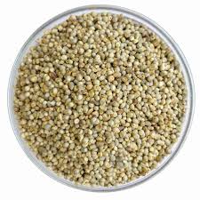 Millet (باجرا)