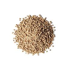 Coriander seeds (دھنیا)