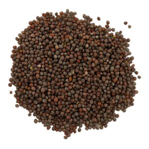 Mustard seeds (رائی)